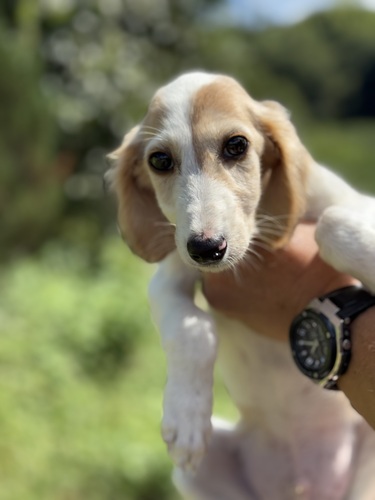 T[L  ̔̔En 860 T[Lxr[