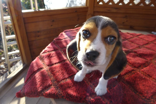 �r�[�O��  ���̔̔��E���n 2344 �l�������q�����ɋߊ���Ă��܂��B