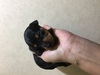 sV[ q T `~js... 3265