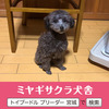 gCEv[h  q T TJbv^Cj[... 43366