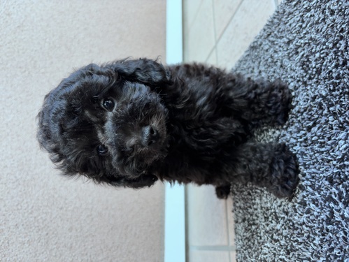 gCEv[h  ̔̔En 44126 ₩ŊÂV@̍v[