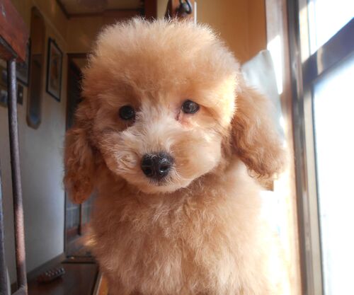 gCEv[h  ̔̔En 44164 v[h