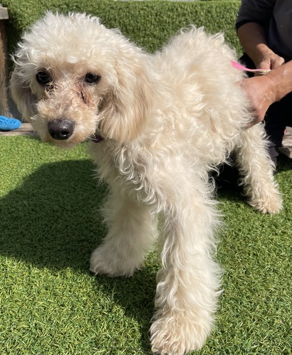 ������1�΂̏��̎q��S3 ���̔̔� 44272