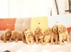 X^_[hEv[h  q T bh̒j̎q̎q... 1231