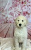 X^_[hEv[h  q T ږڂς肭 1560