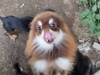 |jA  q T `R^@j̎q@... 9118