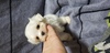 }`[Y  q T @ZƂĂ... 3894