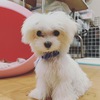 }`[Y  q T teB[Jbv... 3905