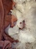 }`[Y  q T Ԃ}}&#9825... 4149