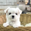 }`[Y  q T 炪Ԃ... 4163