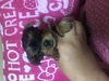 [L[i[NV[EeAj  q T F{胈[L[baby... 7181