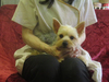 [L[i[NV[EeAj  q T ɐB^C@... 7355