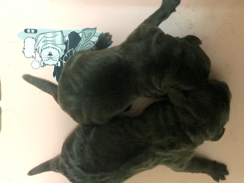 uh[Eg[o[ ̔̔En 7048 `sȊA`qp