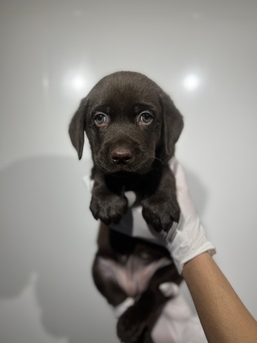 uh[Eg[o[ ̔̔En 7268 `R[g0076