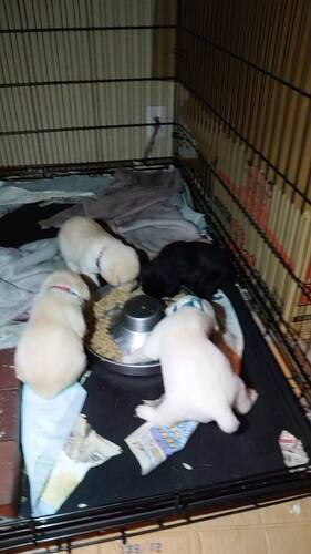 uh[Eg[o[ ̔̔En 7270 qł