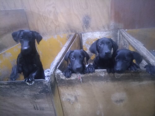 uh[Eg[o[ ̔̔En 7271 킢ɎM聚uo