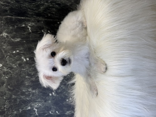 MIXEG  ̔̔En 13201 }ViBSč݁B