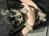 MIXEG  q T |Vi@... 13262