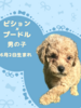 MIXEG  q T rVv[̒j̎q 13716