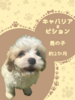 MIXEG  q T LorV(L... 13720
