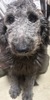 MIXEG  q T S[fhD[hD... 13771