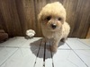 MIXEG  q T }v[ 13789