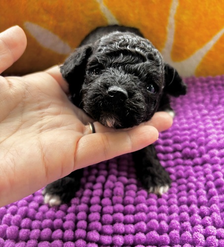 MIXEG  ̔̔En 14044 rVv[