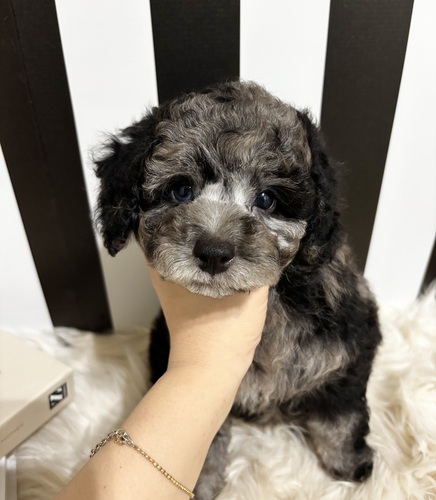 MIXEG  ̔̔En 14048 v[h