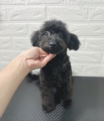 `v[yԌ艿iz ̔̔ 14053