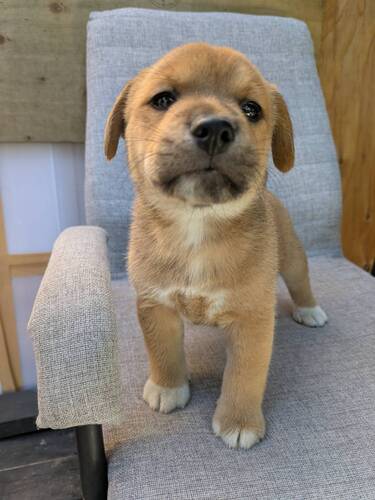 MIXEG  ̔̔En 14057 HIăr[j̎qł