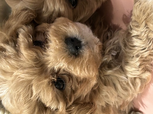 MIX�E�G��  ���̔̔��E���n 14143 �󂠂�}���v