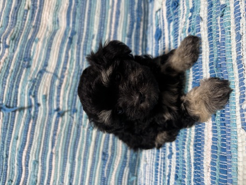 ̑  ̔̔En 3374 }v[Y܂Ă܂^ ^