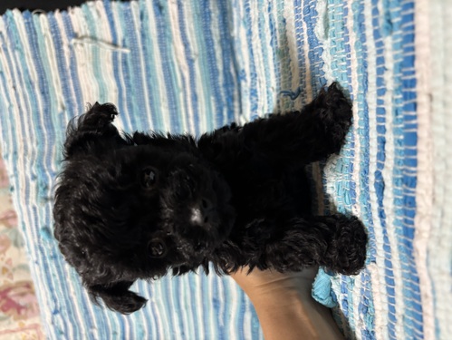 ̑  ̔̔En 3376 }v[Y܂Ă܂^ ^