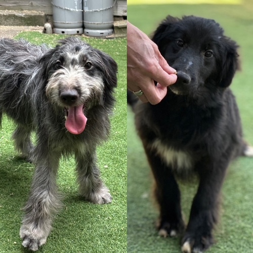 ̑  ̔̔En 3377 {[hD[h@Z