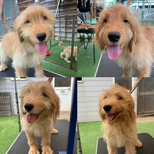 ̑  ̔̔En 3378 V^ࣖS[fhD[hZ