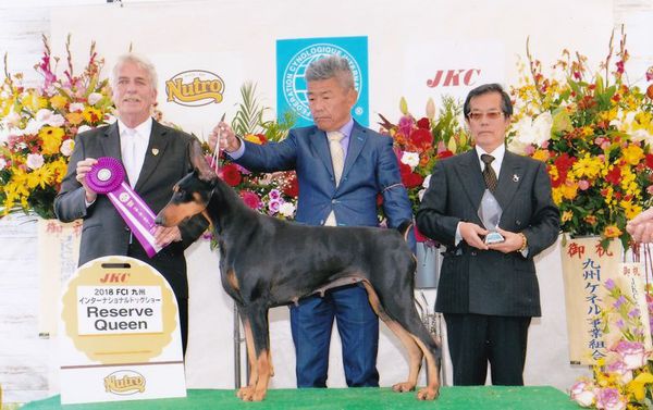 アルゼンチン輸入犬直仔 犬の販売 2013