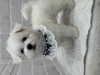 rVt[[ q T ISč݁B 1210
