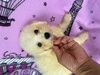 rVt[[ q T q 1233