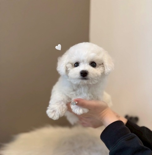 �r�V�����t���[�[ ���̔̔��E���n 1344 ������Ƃ܂������l����