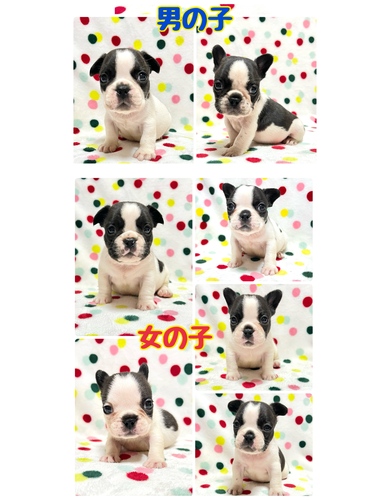 t`uhbO ̔̔En 10235 pCh7Z(*L`*)