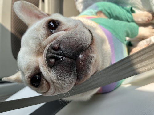 t`uhbO ̔̔En 10238 ̏̎q