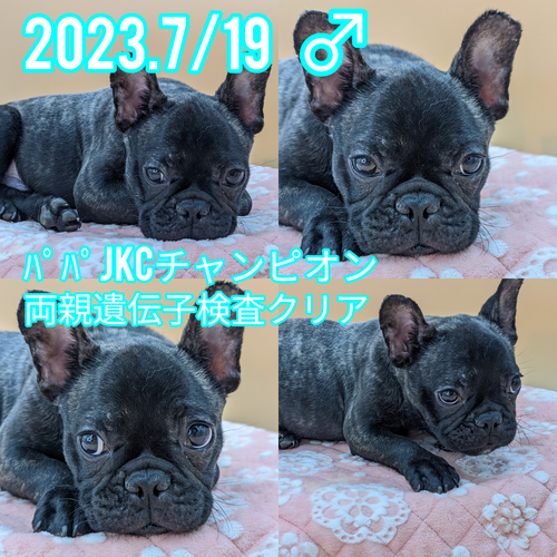 t`uhbO ̔̔En 9818 ߂JKC`sIAeNA