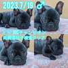 t`uhbO q T ߂JKC`... 9818