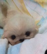 yLj[Y q T 甲Q... 2579