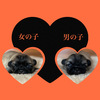 yLj[Y q T 肪Ƃ܂... 2767