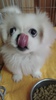 yLj[Y q T yLj[Y̏̎q 2790