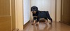 bgC[ q T ʔQA``... 1050