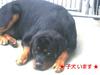 bgC[ q T 痂Z 968