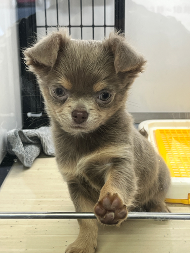 ` ̔̔En p15077 CUx^̒j̎q&#128153;