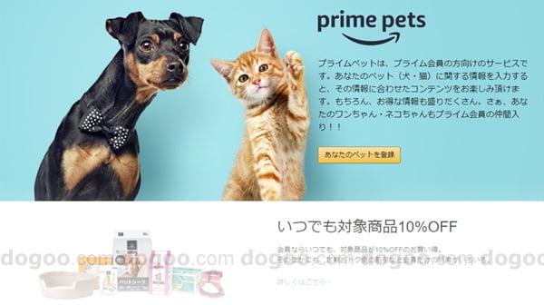 Amazonでペット用品を安く購入 お得に利用する方法 犬サイトdogoo Com